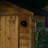 Outdoor Battery Operated White Security Light with PIR Sensor-1150016866