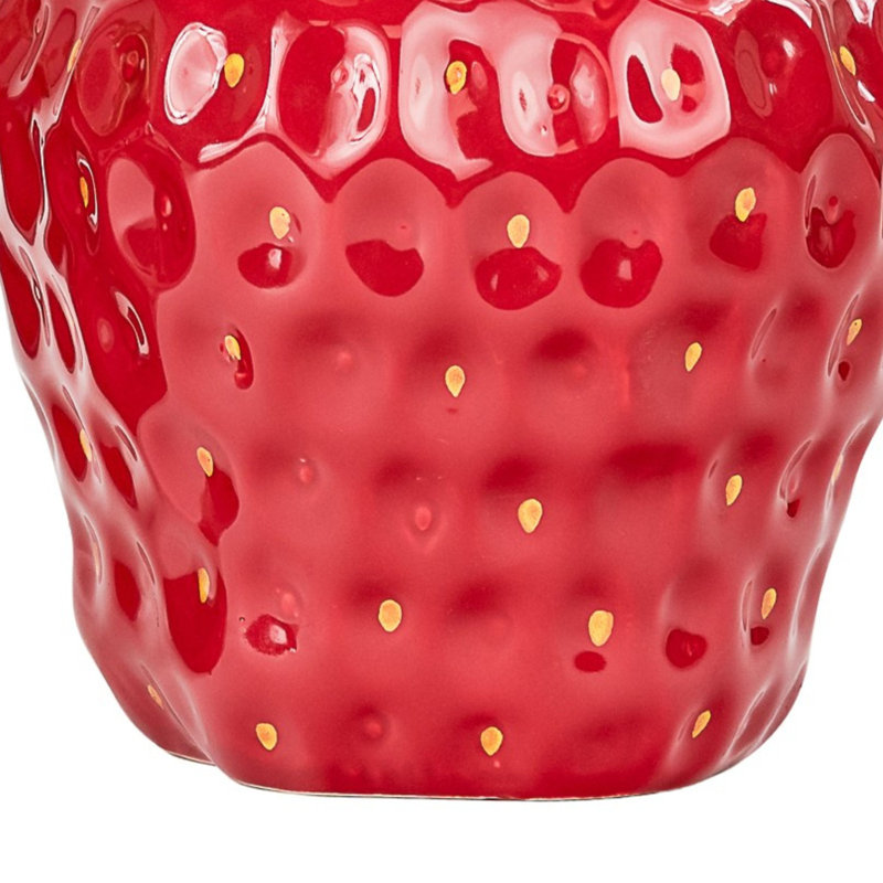 Ensemble de 10 pots à fraises