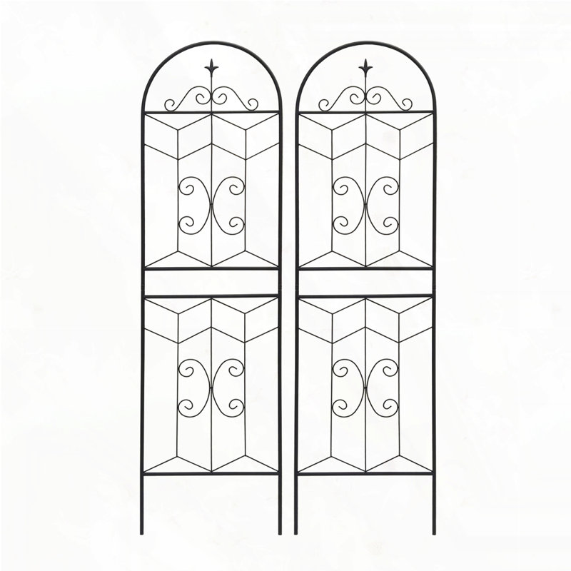 Ensemble de 2 treillis de jardin en métal 71 po x 19,7 po antirouille pour plantes grimpantes