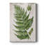 Greenhouse Fern II - galerie sur mesure-118051041