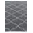 Otto Gray Rug