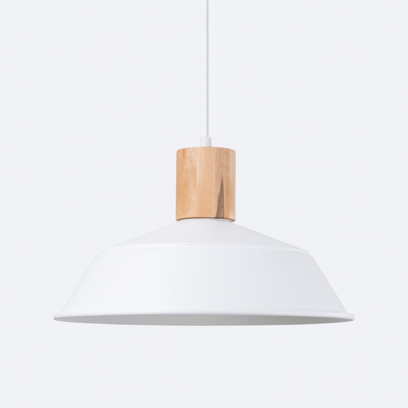 1 - Light Stainless Steel Pendant, White