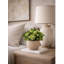 Faux Greenery Arrangement in Gold Vase