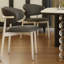 Chaises de salle à manger modernes et minimalistes