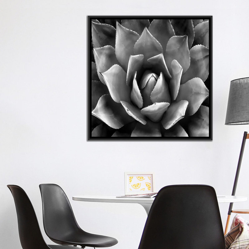 «Succulent II», impression sur toile, H 18 po x l 18 po x P 1,5 po, Toile avec cadre noir, Pas de tapis