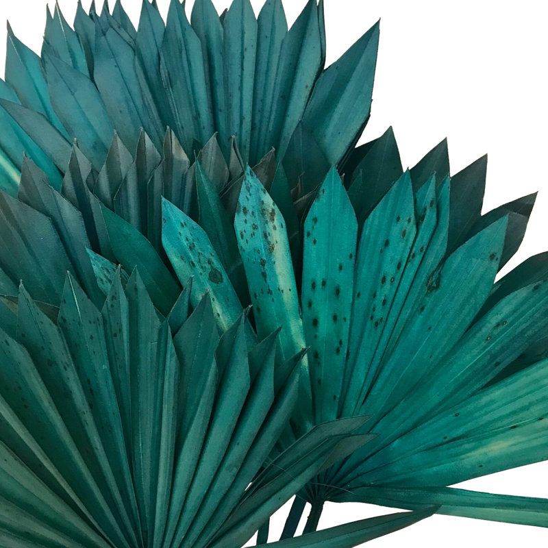 Tige de palmier Forsyth, Bleu turquoise