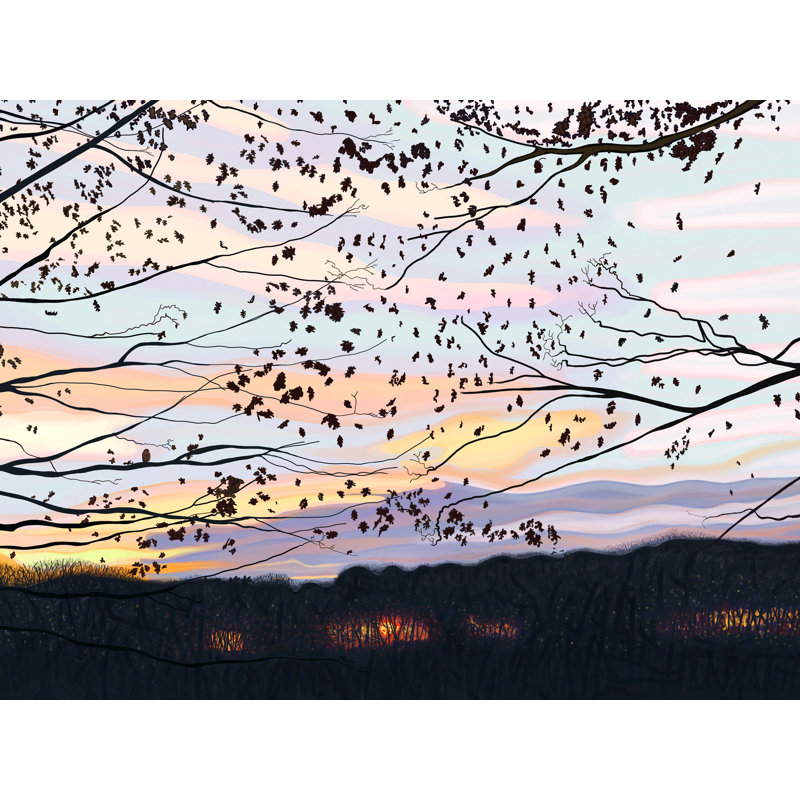 Hawk On Branch, Prospect Park Print by Evan Sklar, 24" H x 32" W