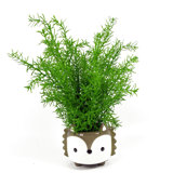 45cm Faux Plant