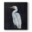 Calm Great Egret I, toile encadrée de qualité supérieure - prête à être accrochée-1638331817-1638331818