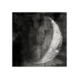 Tuxedo Moon IV Print by Chelsea Art Studio