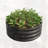 Round Raised Garedn Bed-1467840375-1467840368