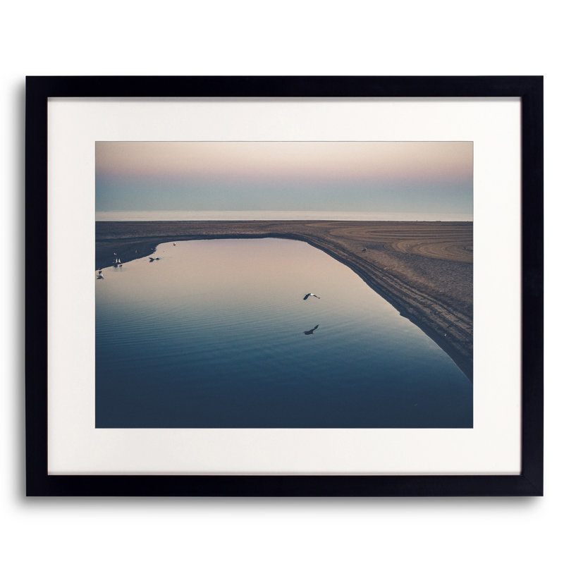 Barbed Wire Fence Print by Alan Scherer