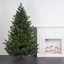 Eagle Frasier Artificial Christmas Tree Warm White Dura-lit® LED Lights with Stand-1006564840-970229167