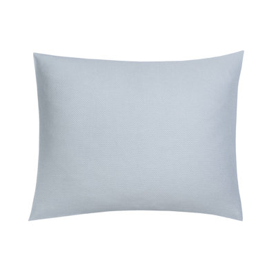 Comporta Sham