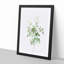White Blooming Roses by Pierre-Joseph Redoute - Framed Print-55612149-55612151