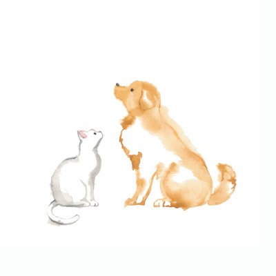 Golden Retriever And White Cat by Lovelyday12 - Wrapped Canvas Print