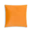 Noah Velvet Square Accent Pillow-257995880