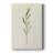 Olive Leaves II -Gallery Wrapped Cavas