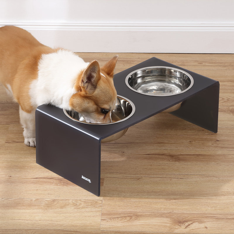 Mangeoire pour animaux Keaton, Moyen (6,76 tasses / 54 oz liquides), Gris foncé / Chrome
