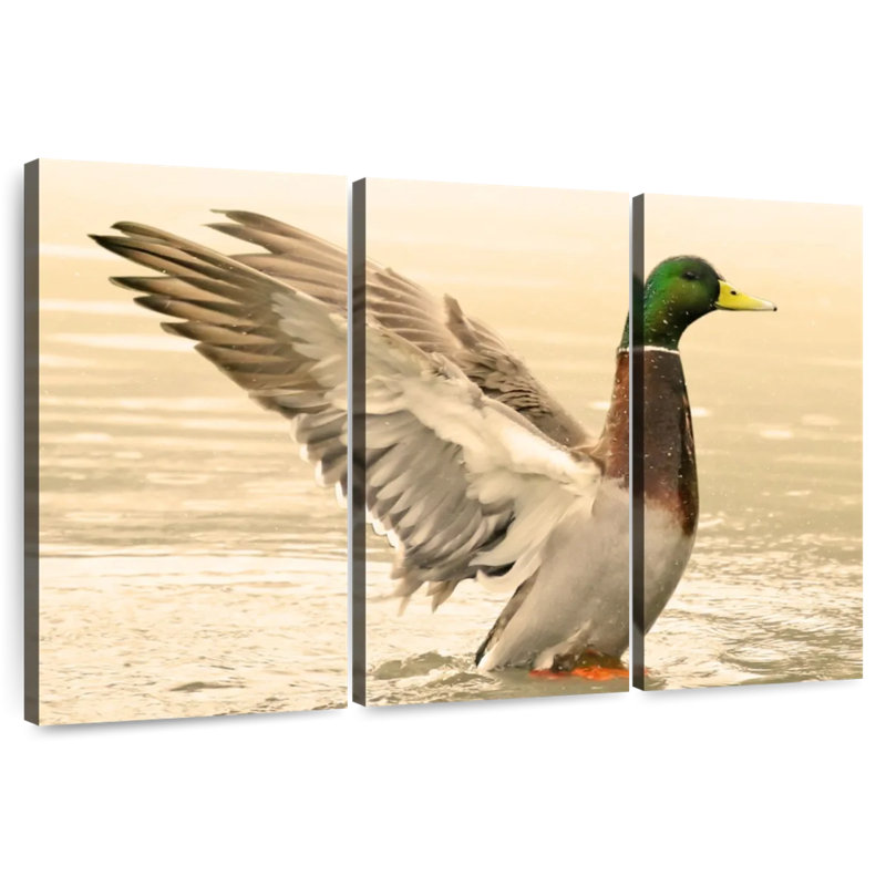 Canard colvert majestueux Brampt, H 28 po x l 45 po