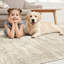 Tapis lavable rétro, tapis antidérapant doux antidérapant pour le salon, la chambre à coucher, la salle à manger, beige