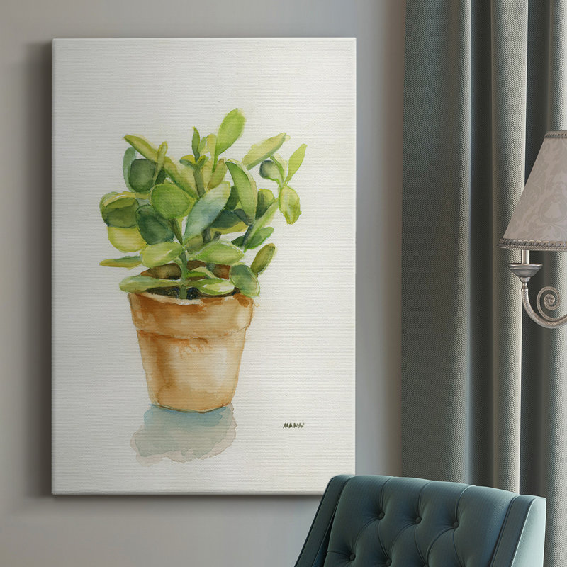 «Succulent I», reproduction sur toile tendue, H 12 po x l 8 po x P 1 po