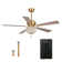 Amboise 52'' Ceiling Fan with Light Kit