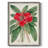 FloraOfTheTropicsIII Framed Print - Solid Wood-1819180127