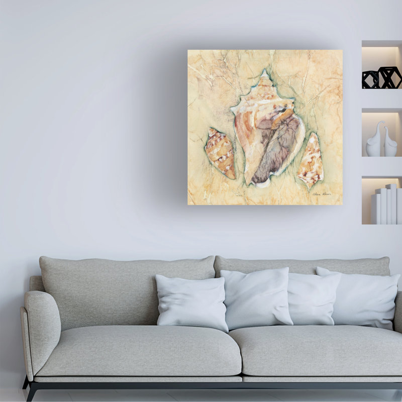 Art sur toile «bolologi Cheri Blum Shells III», H 35 po x l 35 po