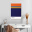 Sirecs Phoenix Suns-108482336