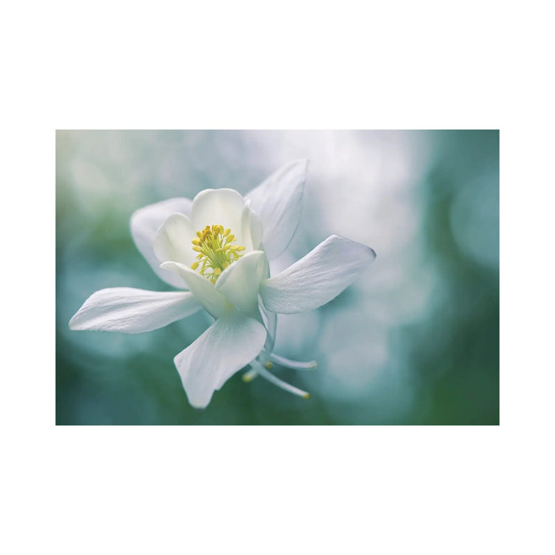 Purity 1 Piece Wrapped Canvas Wall Art, 101.6 cm H x 66.04 cm W x 1.91 cm D
