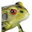 Décoration grenouille 13 po