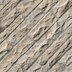 Fossil Rustic