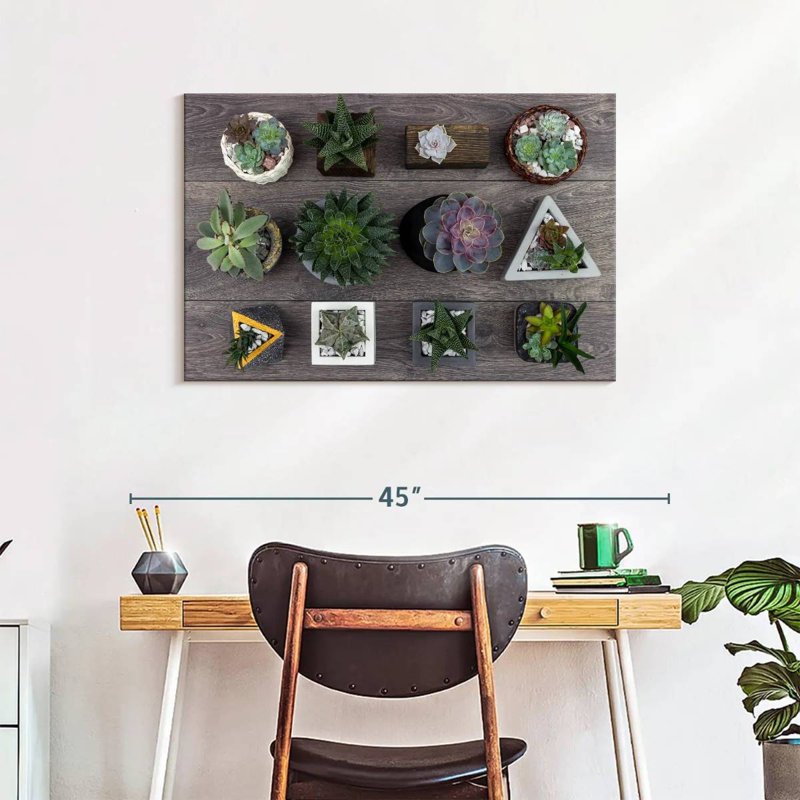 Harnek Assorted Succulents, 24" H x 36" W