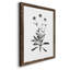 Inky Botanical I - Peinture sur toile encadrée-456288489-456288471