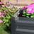 Galvanized Raised Garden Bed Kit For Flowers, Herbs And Vegetables-1257745235-1257745241-1257745244