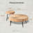 Aburto 2-Piece Modern Farmhouse Living Room Coffee Table Set, Nesting Table Round