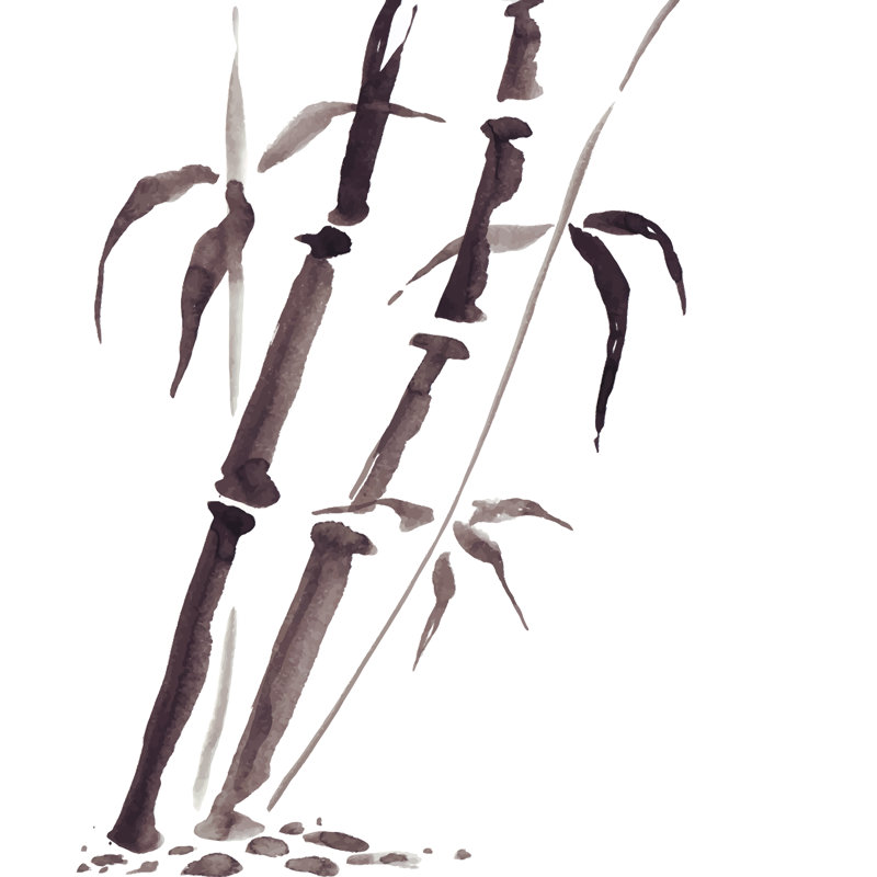 Bamboo In Chinese Style by Katyau - Wrapped Canvas Painting, 30cm H x 30cm W