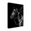 «Scratchboard Rodeo V» par Julie T. Chapman - reproduction d'art graphique sur toile-1210964018