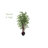 Faux Bamboo Tree in Planter-1223083804