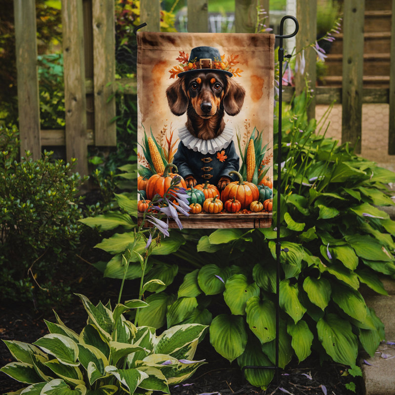 Drapeau du jardin de l'Action de grâce, Teckel chocolat