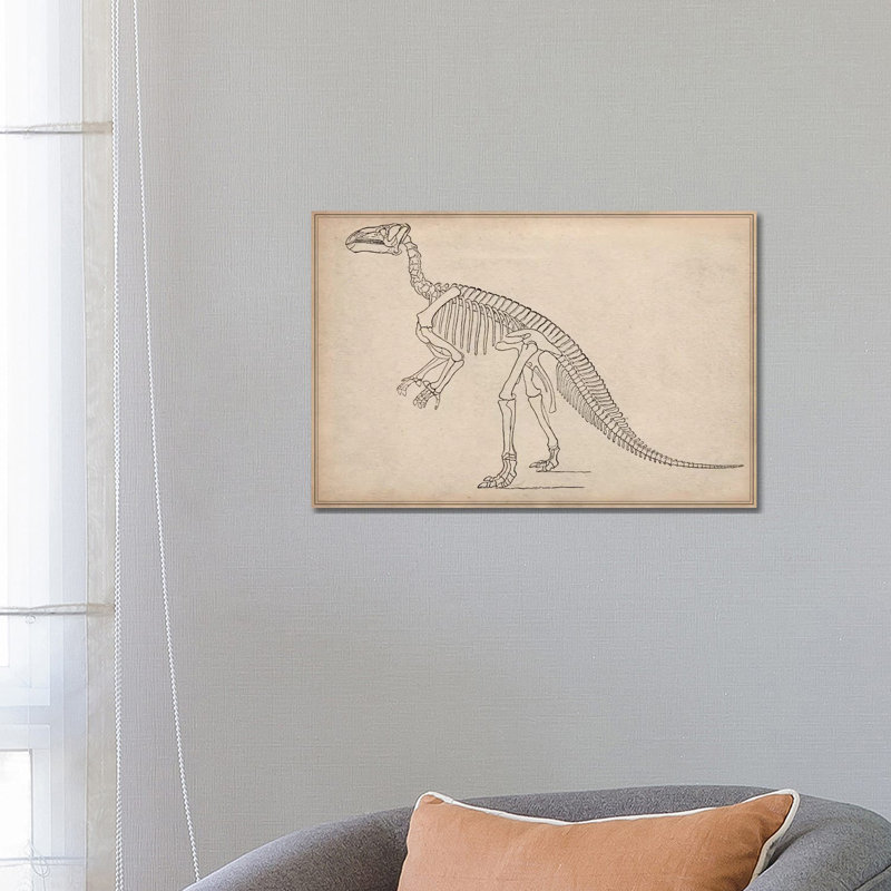 Iguanodon Skeleton Anatomy - Wrapped Canvas Print, 66.04 cm H x 45.72 cm W x 3.175 cm D