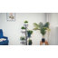 Budron Plant Stand