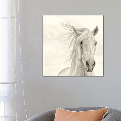 Wind Blown Mane I by PHBurchett - Wrapped Canvas Print