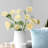 Audet Faux Florals: Silk Decorative Artificial Ranunculus Flower (1 Branch Pack)-1247031775