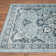 Dorsett Oriental Indoor Rug