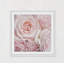 Sylvia Cook - Single Picture Frame Print-352761896