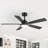 Selvidge 52'' Ceiling Fan with LED Lights and Remote, 6 Speed Quiet Reversible DC Motor, 5 Plywood Blades, 5''/10'' Downrods,Timer-139012768
