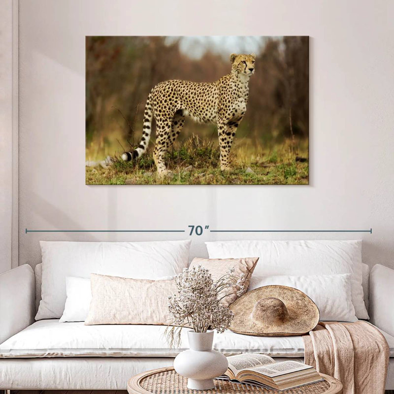 Cheetah Staring Down Its Prey, 30" H x 45" W
