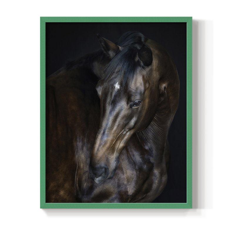 Sunlit Horses I, reproduction encadrée - bois massif, Vert, H 10 po x l 8 po